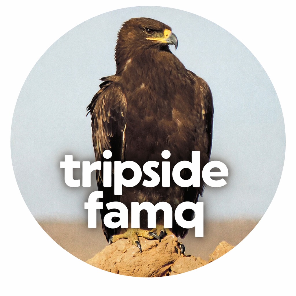 Логотип семьи Tripside