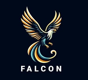 Логотип семьи FALCON MEDIA