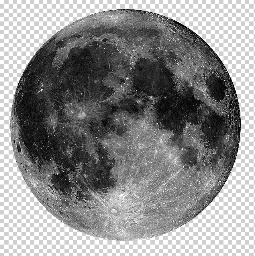 Логотип семьи Moonlight