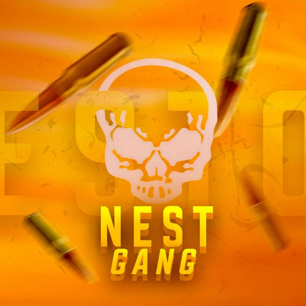 Логотип семьи NEST DIVISION