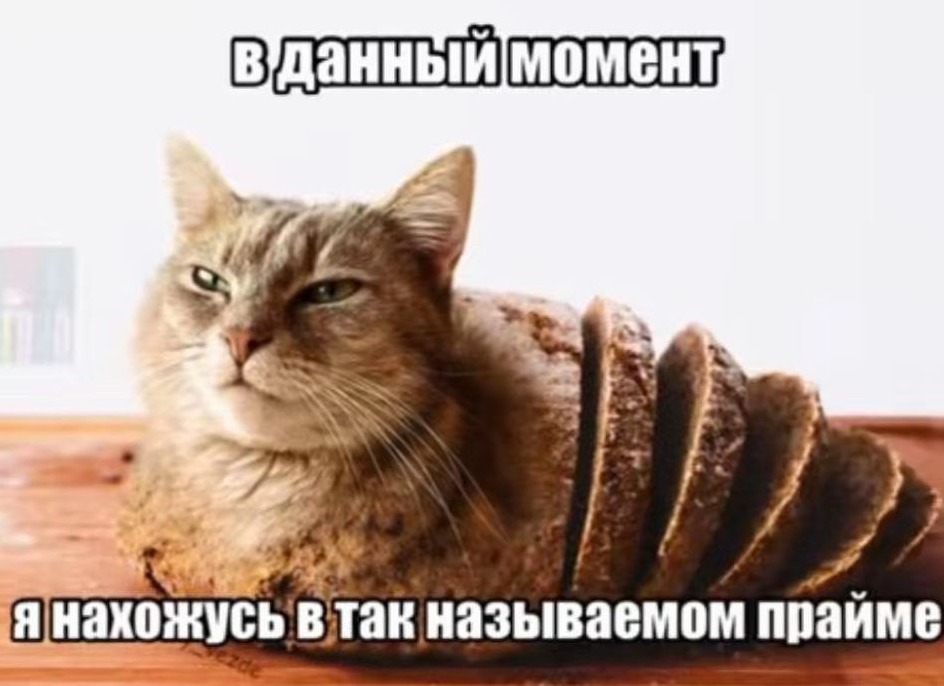 Логотип семьи Fortuna