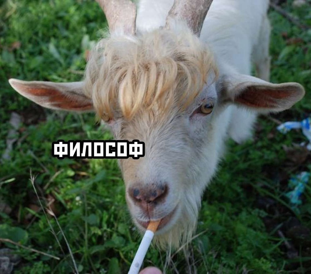 Логотип семьи Honda